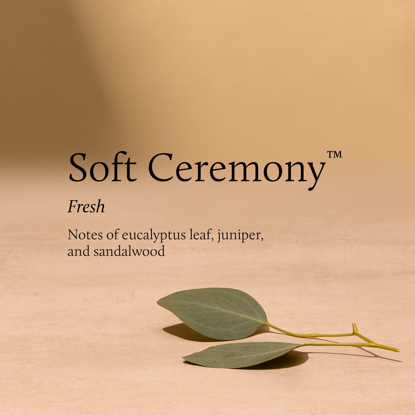 Soft Ceremony 13 oz 2-Wick Candle