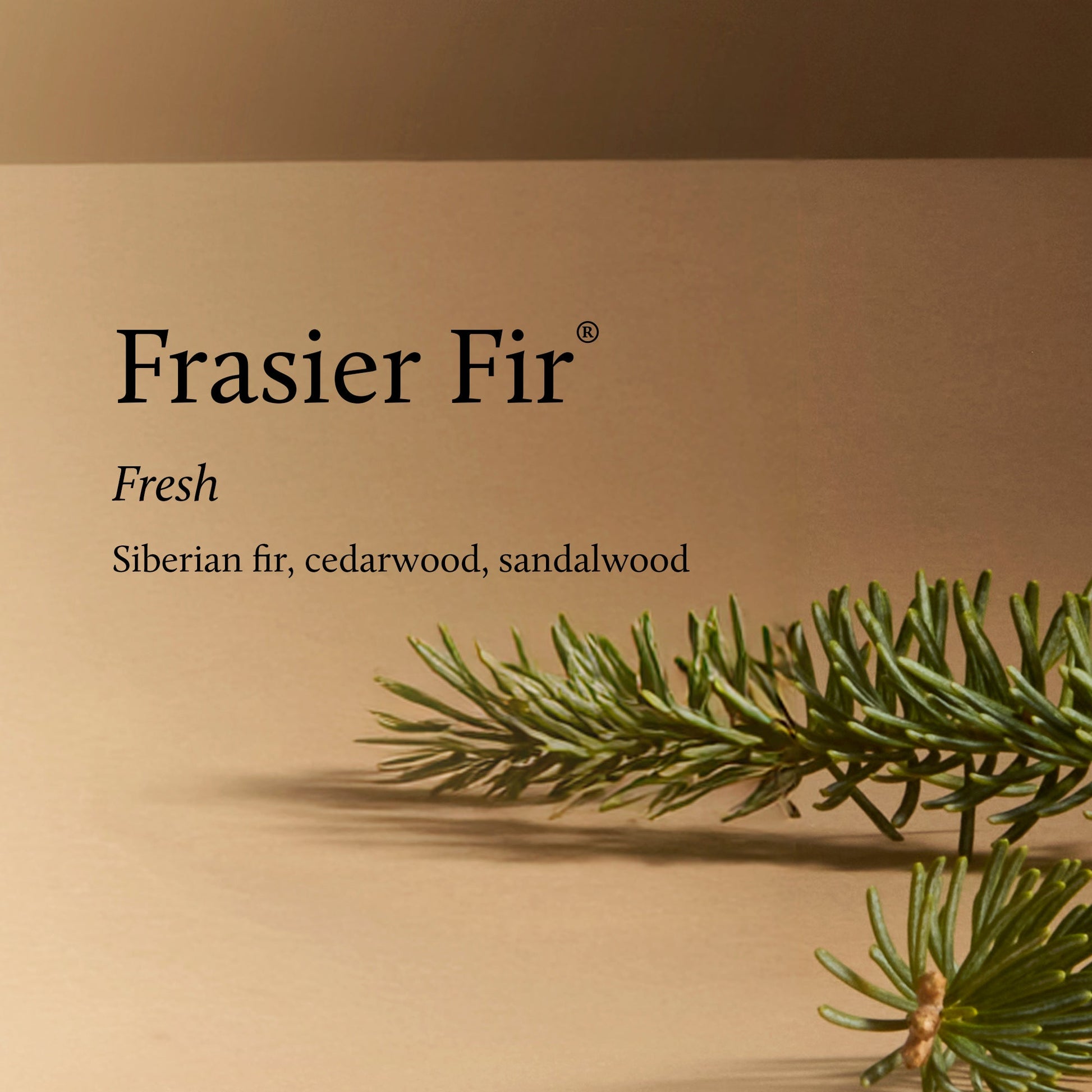 Frasier Fir® Pura Home™ V5 Diffuser Kit