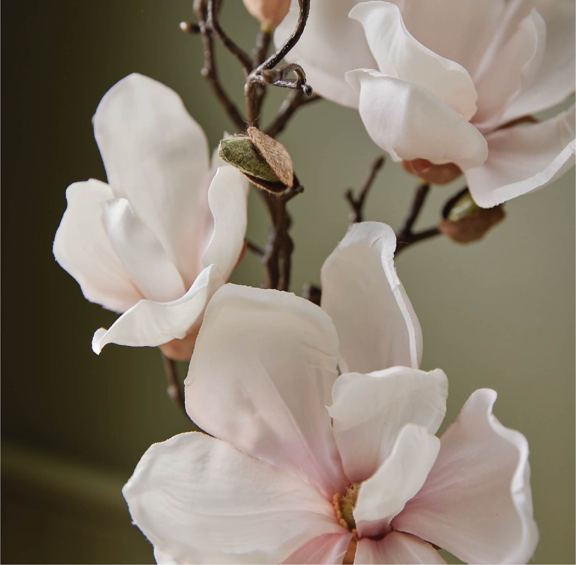 Magnolia Willow Hand Wash Refill