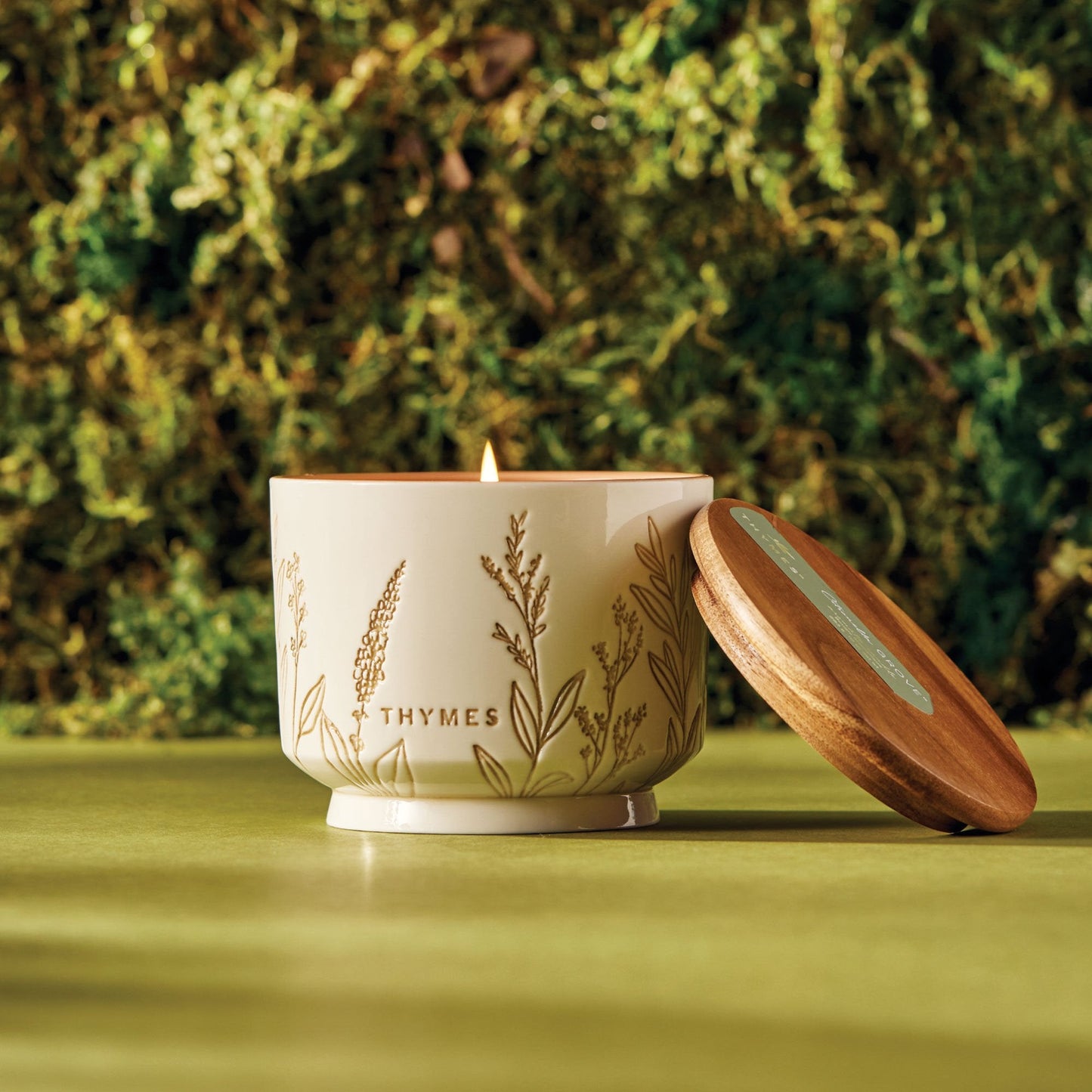 Citronella Grove Patio Essentials